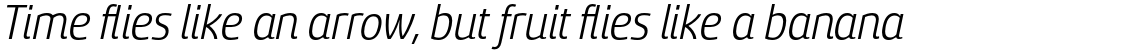 Sancoale Light Italic