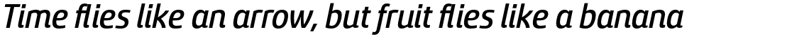 Sancoale Medium Italic