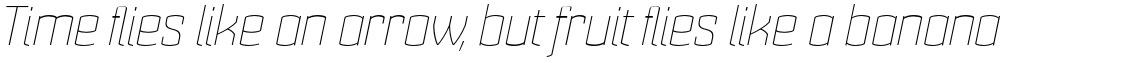 Cohort Thin Italic