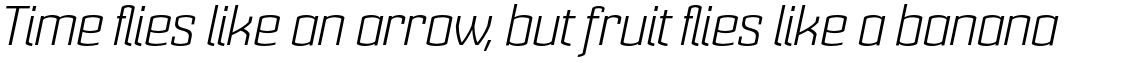 Cohort Light Italic