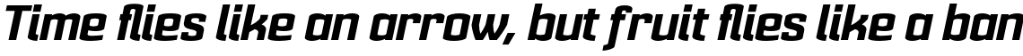 Cohort Black Italic