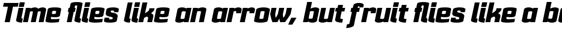 Cohort Heavy Italic