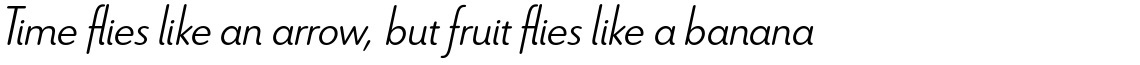 Le Havre Rounded Light Italic