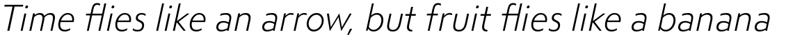 Steagal Light Italic