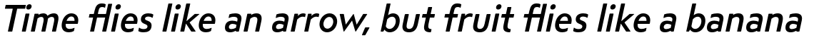 Steagal Medium Italic