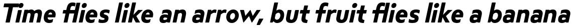 Steagal Bold Italic