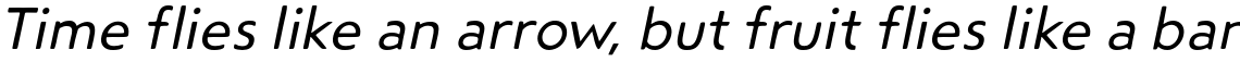 Steagal Rough Regular Italic