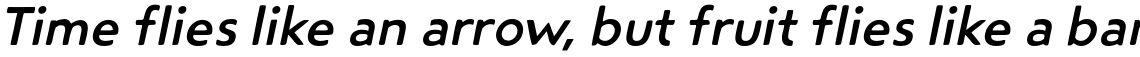 Steagal Rough Medium Italic