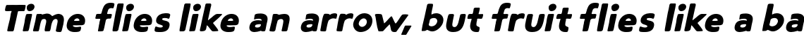 Steagal Rough Bold Italic