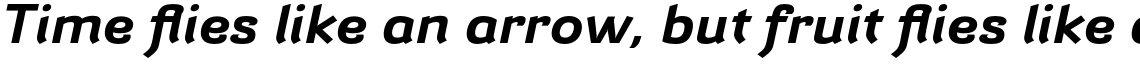 Barcis Expanded Bold Italic