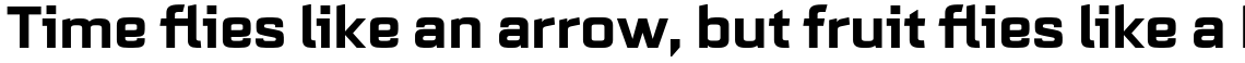 Quarca Extended Bold