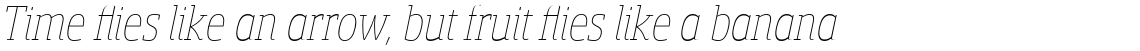 Sancoale Slab Soft Condensed Thin Italic
