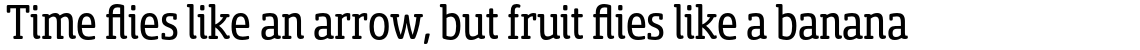 Sancoale Slab Soft Condensed Regular