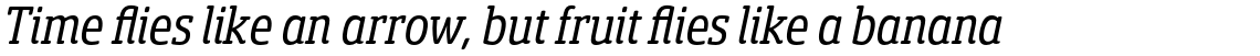 Sancoale Slab Soft Condensed Regular Italic
