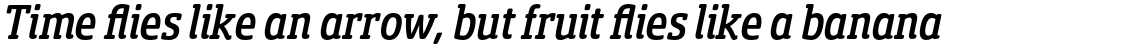 Sancoale Slab Soft Condensed Medium Italic