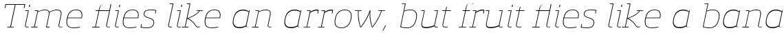 Sancoale Slab Soft Extended Thin Italic