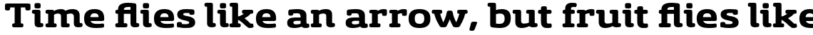 Sancoale Slab Soft Extended Bold