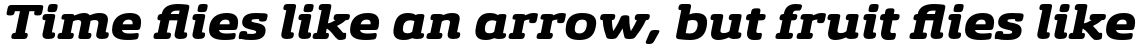 Sancoale Slab Soft Extended Black Italic