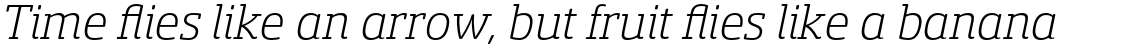 Sancoale Slab Soft Normal Light Italic