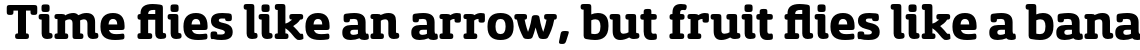 Sancoale Slab Soft Normal Bold