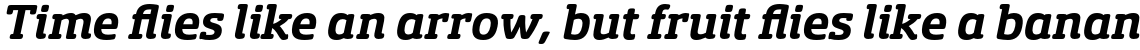 Sancoale Slab Soft Normal Bold Italic