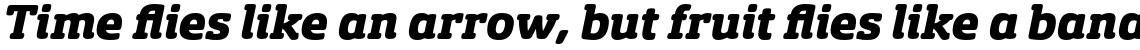 Sancoale Slab Soft Normal Black Italic