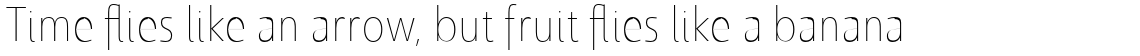 Savigny Thin Condensed