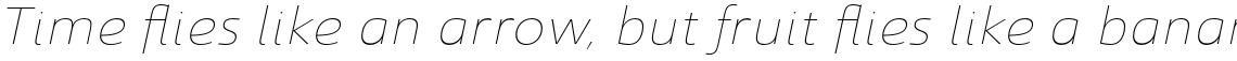 Savigny Thin Ext Italic