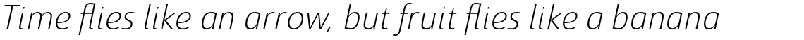 Savigny Light Normal Italic