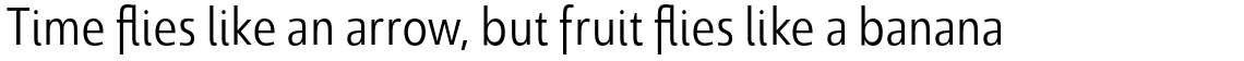 Savigny Regular Condensed