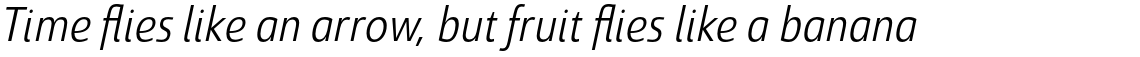 Savigny Regular Condensed Italic