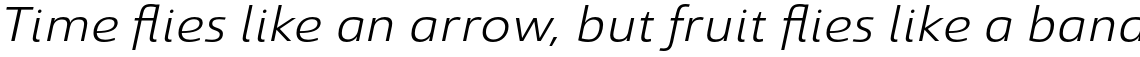 Savigny Regular Ext Italic