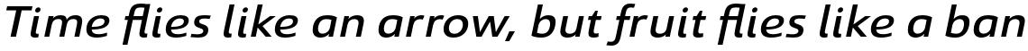 Savigny Medium Ext Italic
