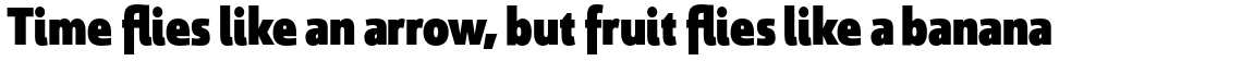 Savigny Black Condensed