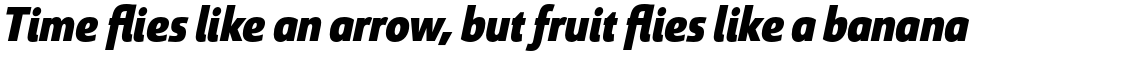 Savigny Black Condensed Italic
