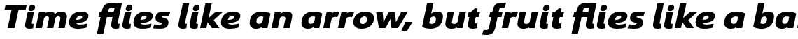 Savigny Black Ext Italic