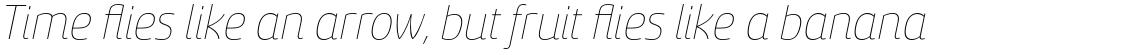 Sancoale Softened Thin Italic