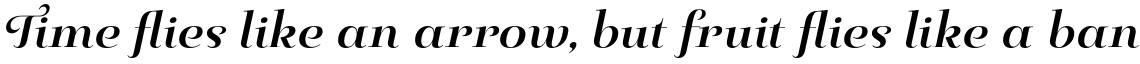Pauline Didone Bold Italic