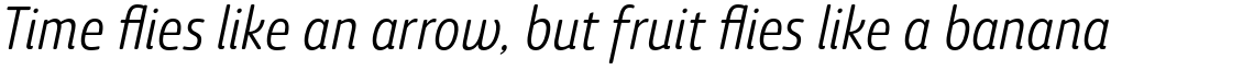 Ashemore Soft Cond Regular Italic