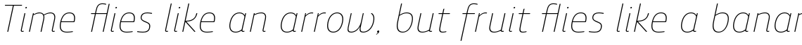 Ashemore Soft Norm Thin Italic
