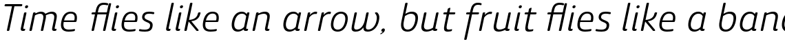 Ashemore Soft Norm Regular Italic