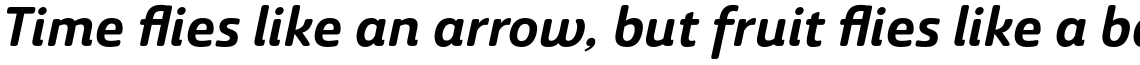 Ashemore Soft Norm Bold Italic