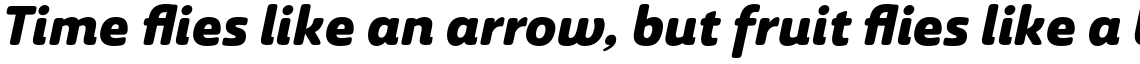 Ashemore Soft Norm Black Italic