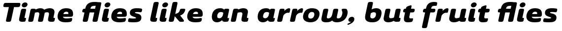 Ashemore Soft Ext Black Italic