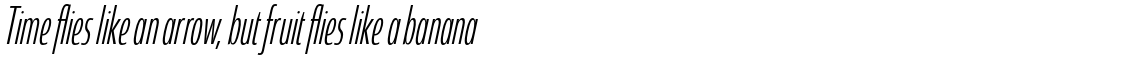 Coegit Compressed Light Italic