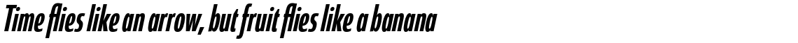 Coegit Compressed Medium Italic