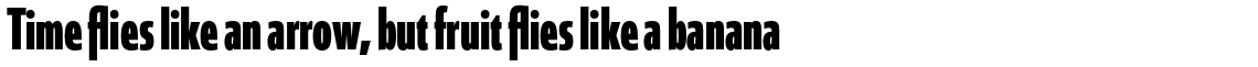 Coegit Compressed Bold