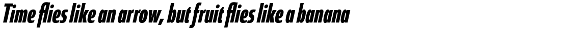 Coegit Compressed Bold Italic