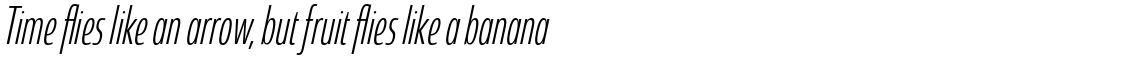 Coegit Compact Light Italic