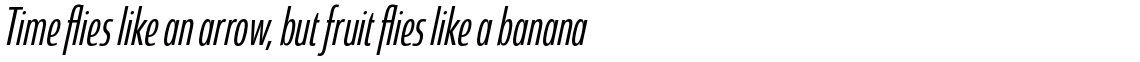 Coegit Compact Regular Italic
